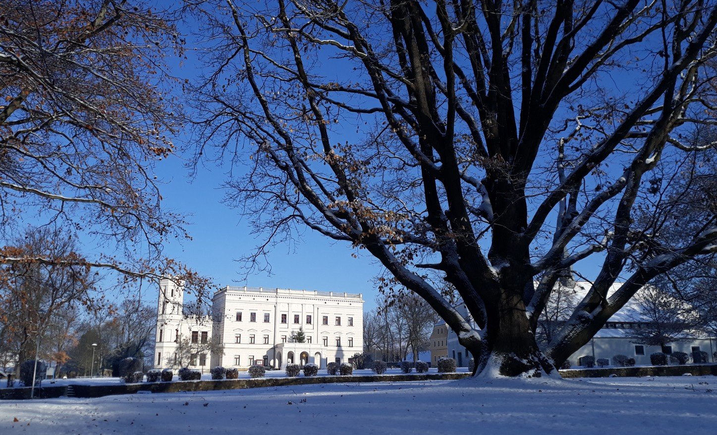 bildkraftortwanderung