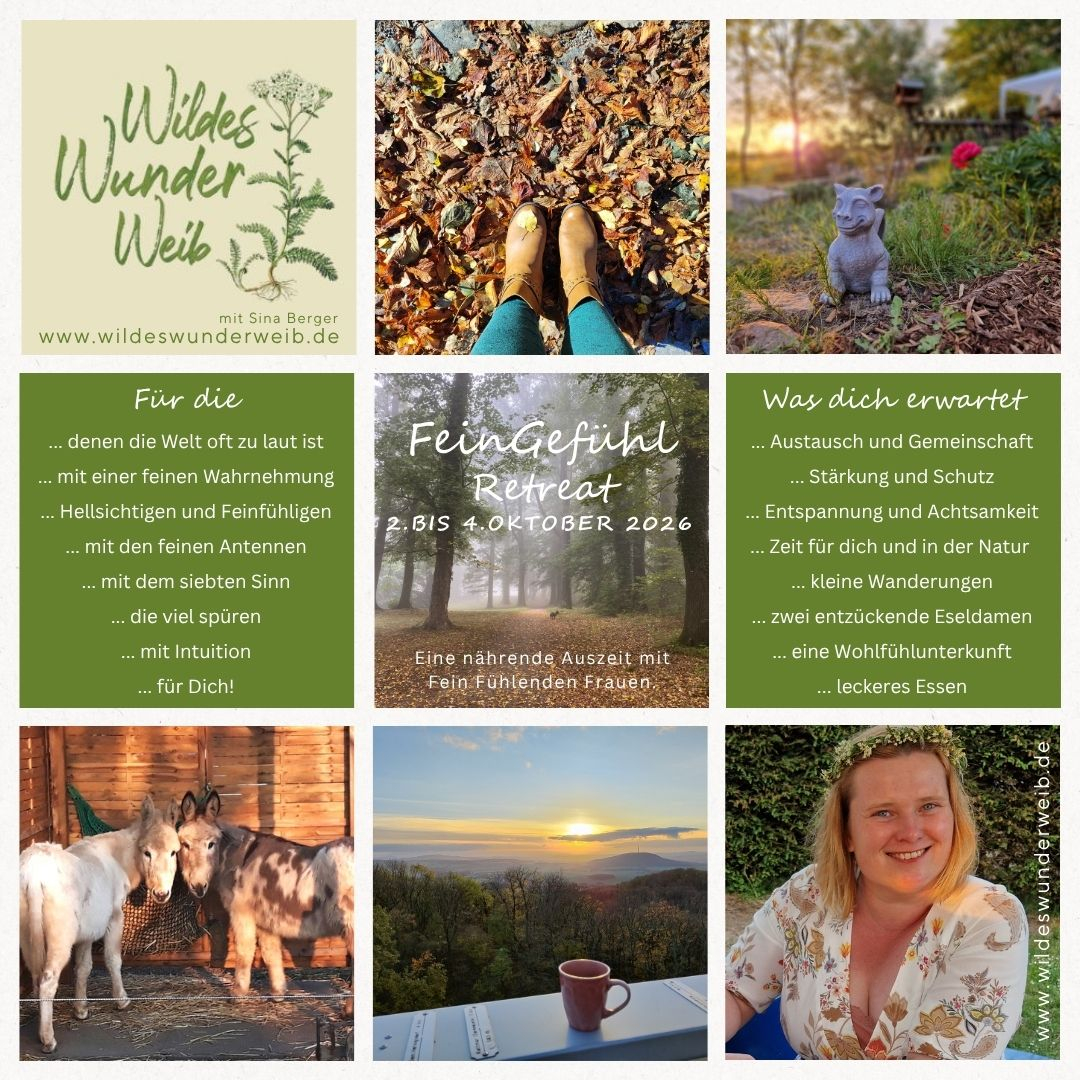 posting-feingefuehl-retreat