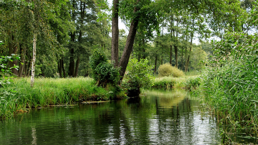 spreewald-2749217_1280